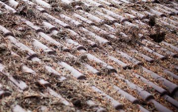 Riseholme roof cleaning companies