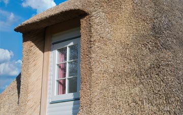 Riseholme thatch roof disadvantages